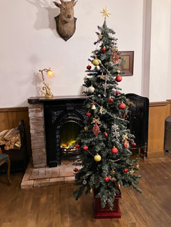 クリスマスツリー 飾り付けはご自身でお願いします